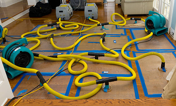 Professional Water Extraction technician working in Wilder, ID